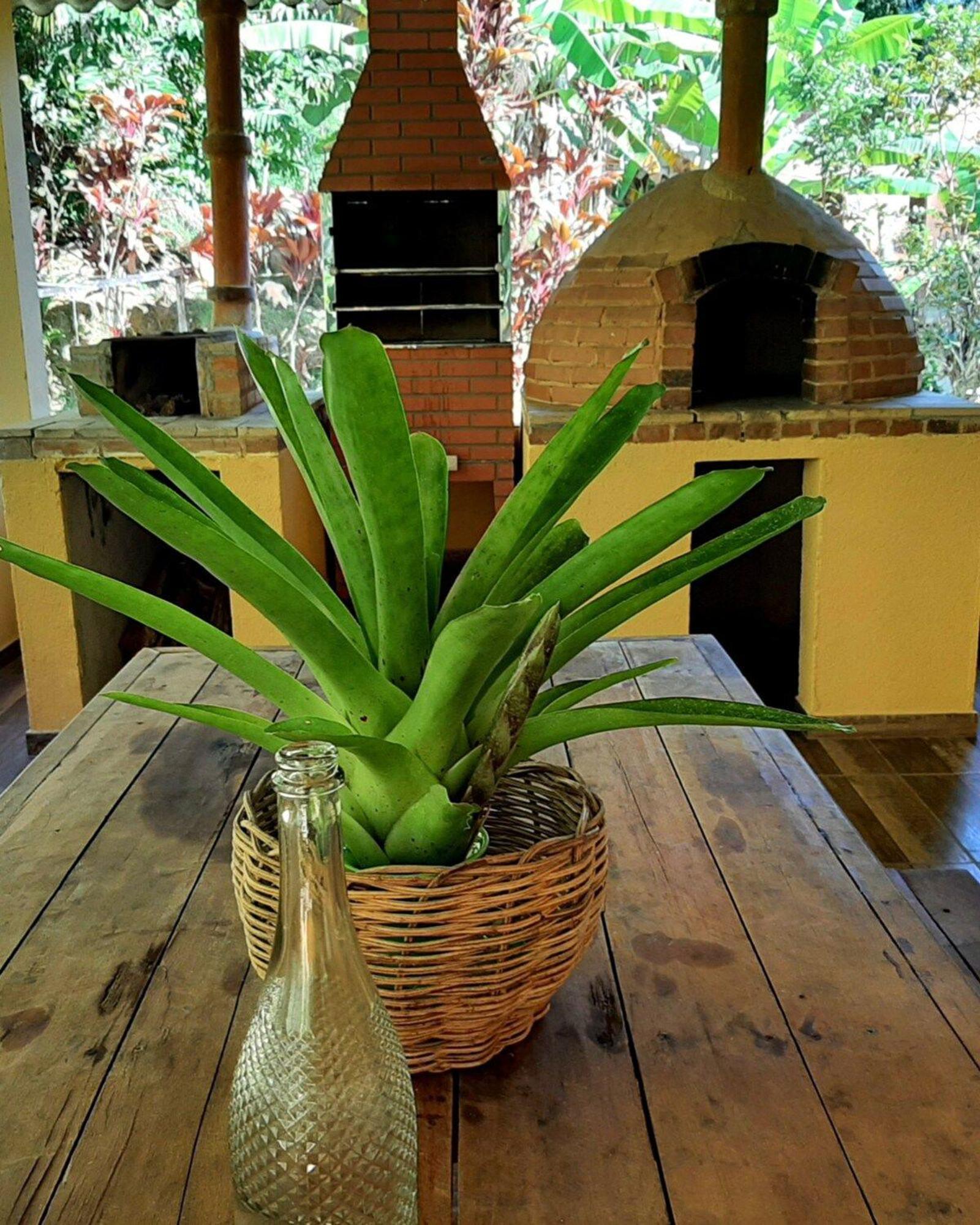 Casa Da Ilha Paraty Entre A Mata Atlantica E O Mar Villa Buitenkant foto
